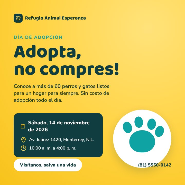 Pet adoption day